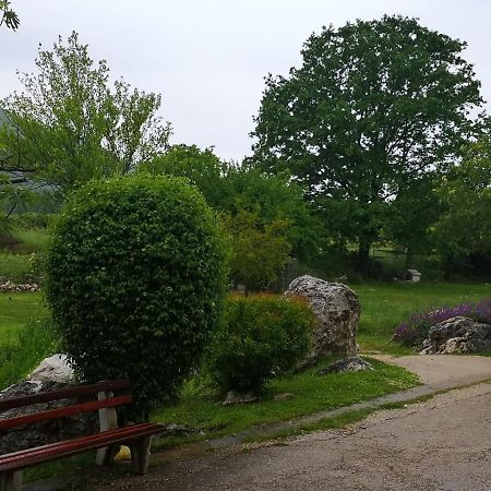 B&B Villa Ellena Međugorje Exteriör bild